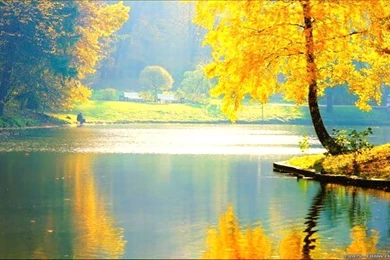 Cool Beautiful Wallpapers 2724   HDWPro