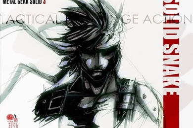 Selena Gomez And Justin Bieber On Beach: Solid Snake Wallpapers