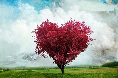 Animated Love Wallpapers