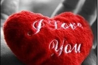 Animated Love Wallpapers For Mobile / Animal Pictures On Imgfave