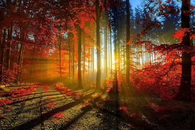 Beautiful Wallpapers 14   Best Wallpapers Collection