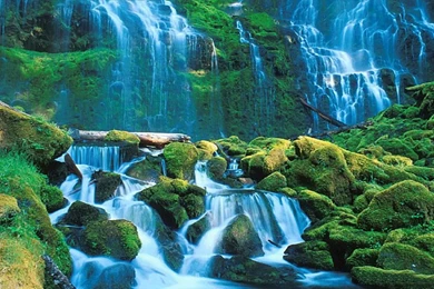 Desktop Wallpapers Free Download