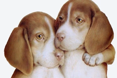 Arts_childrens 002.jpg