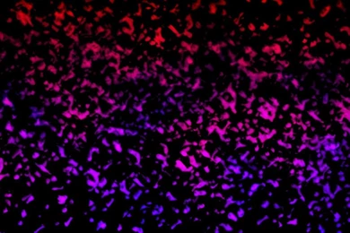 Red Pink Splats Wallpapers By Chzoul On DeviantArt