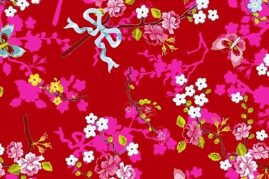 PiP Chinese Rose Red Wallpapers