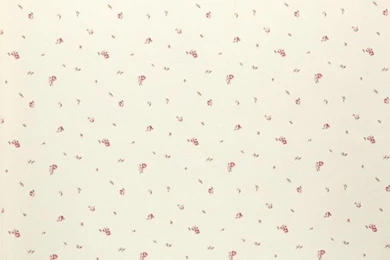 California   Petite Buds Wallpaper, Cream, Pink, Red ...