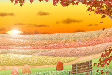 Cartoon Images Hd Wallpapers 1080p