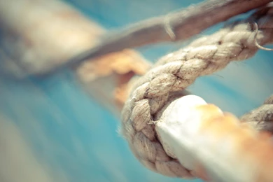 Ubuntu 12.04 Precise Pangolin Wallpapers (7)