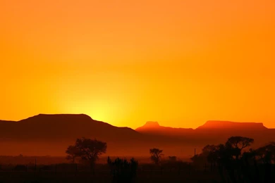 My Wallpapers Entries For Precise Pangolin