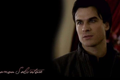 Damon Salvatore Wallpapers   Damon Salvatore Photo (27565462)   Fanpop
