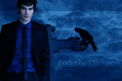 Damon Salvatore (Feel The Darkness) Wallpapers