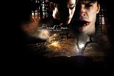 Damon Salvatore ✯   Damon Salvatore Wallpapers (24875228)   Fanpop