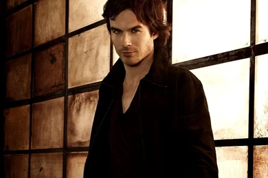 Damon Salvatore ✯   Damon Salvatore Wallpapers (25120323)   Fanpop