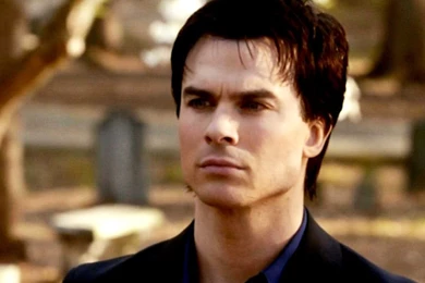 Wallpapers Damon Salvatore 1024x768