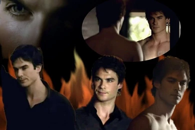 Damon Wallpapers   Damon Salvatore Wallpapers (8896258)   Fanpop