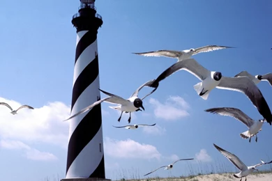 Lighthouses: Untitled North Carolina Cape Hatteras Lighthouse ...