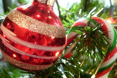 Christmas Candy Canes