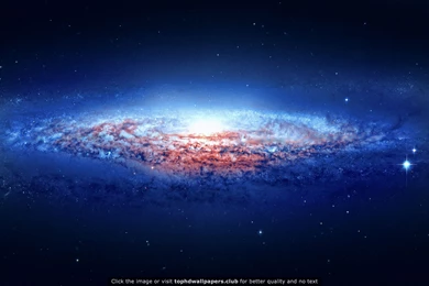 Best Lynx 4K Or HD Wallpapers For Your PC, Mac Or Mobile Device