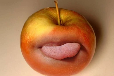 Download Funny Images   Widescreen HD Wallpapers