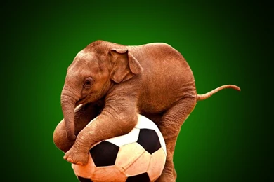 Very Funny Images Hd