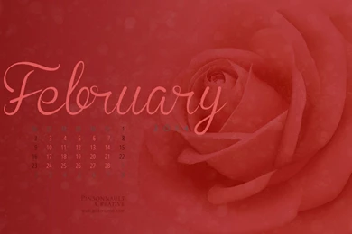 Free February Computer Wallpapers DF23