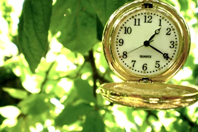 Golden pocket clock hanging in a tree HD wallpaper_5120x3200.jpg