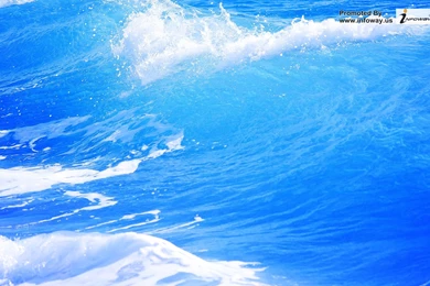 Sea Surfing Wallpapers   Photo 132 Of 274