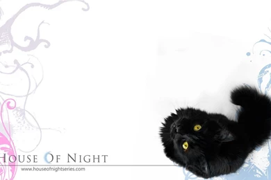 Nerd Herd   Nerd Herd Wallpapers (6810551)   Fanpop