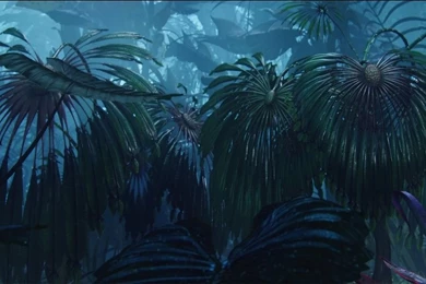 Avatar Nature Wallpapers