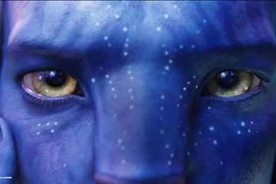 Avatar Wallpapers 2/12