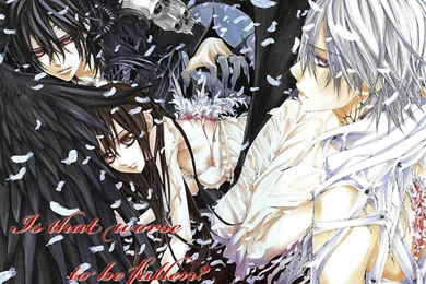 Vampire Knight   Vampire Knight Wallpapers (22659031)   Fanpop