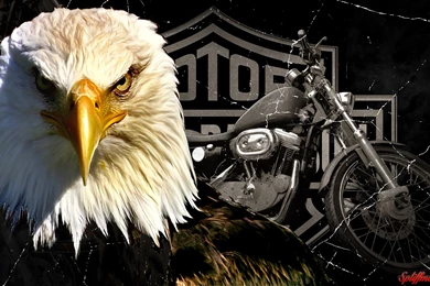HD Harley Davidson Wallpapers