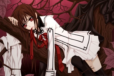 Vampire Knight Wallpapers