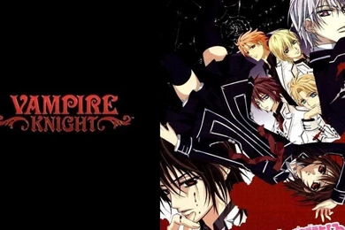 VAMPIRE KNIGHT WALLPAPER (