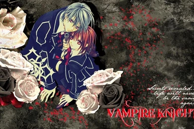 Vampire Knight   Vampire Knight Wallpapers (32033494)   Fanpop