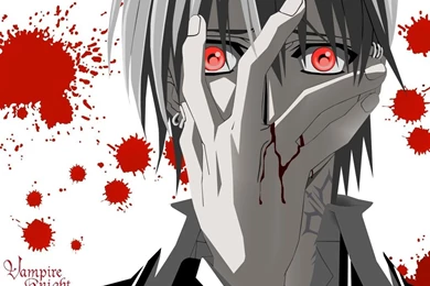 VK   Vampire Knight Wallpapers (29007215)   Fanpop