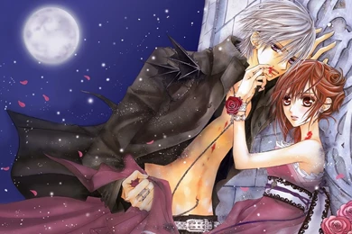 Vampire Knight Computer Wallpapers, Desktop Backgrounds ...