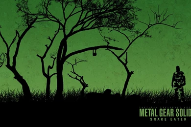 Metal Gear Solid 3 HD Wallpapers