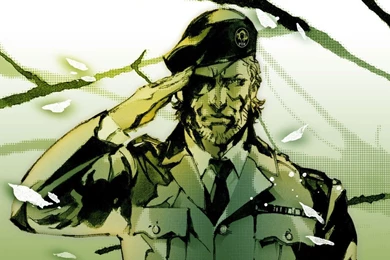 Metal Gear Solid 3: Snake Eater Movie   Dream Cast List ...