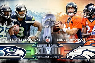 Super Bowl Champions Wallpapers WLI13