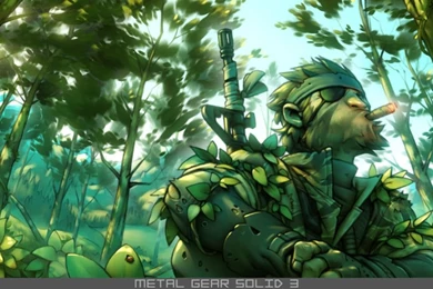 MGS3 Fanart 2 By GrayShuko On DeviantArt