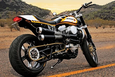 Harley Davidson Cute Hd Picture