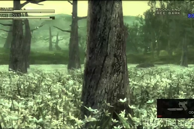 Metal Gear Solid 3 The Last Boss Fight   YouTube