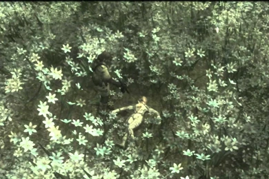 Metal Gear Solid 3 HD Snake Vs The Boss Fight And Cutscene   YouTube