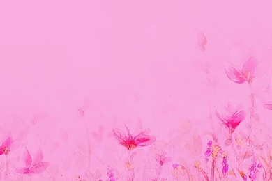 Light Pink Wallpapers   Wallpapers Cave