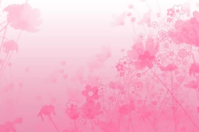 1000x1000px Light Pink Wallpapers HD