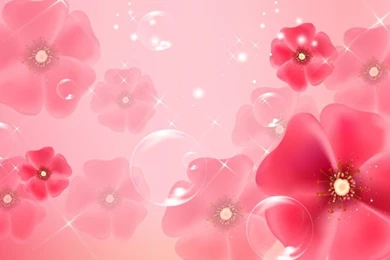 Light Pink Flowers Wallpapers Picture Backgrounds