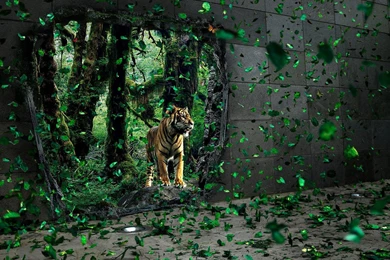 Cdn Wallpaperzzz Wallpapers Normal Hires   Direct Download ...