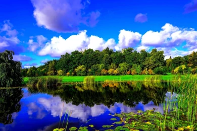 Christmas In Lapland, A New Year Caribbean Cruise, And A Spring ...