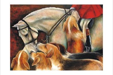 Horses Hello Friends Cavalo Animals Horse Stallion Mdirf Fund Meet ...